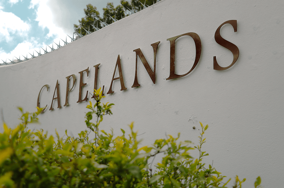 Capelands Savinis Blog